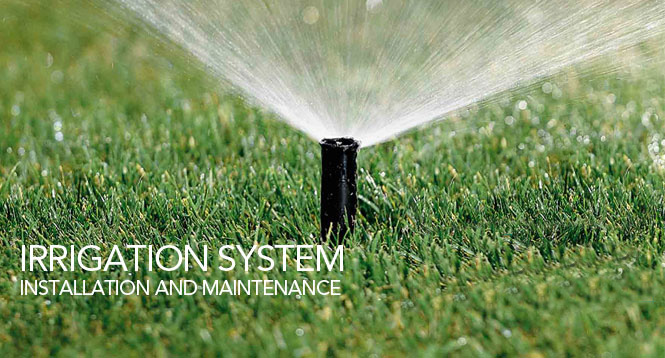 Irrigation System Installation and Maintenance