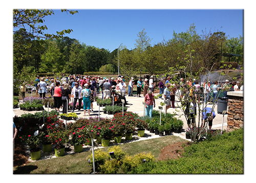 yardniqueearthday2014-1