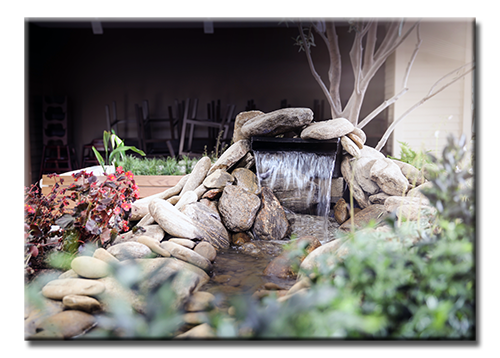 pond-1