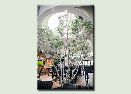 tree-1