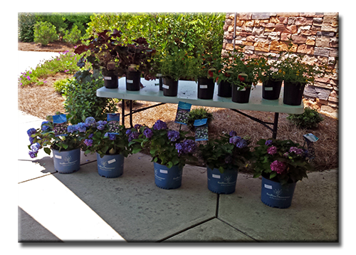 20160604_121411-edited